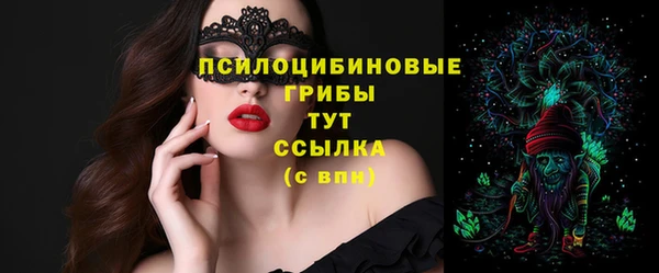 круглые Алексеевка
