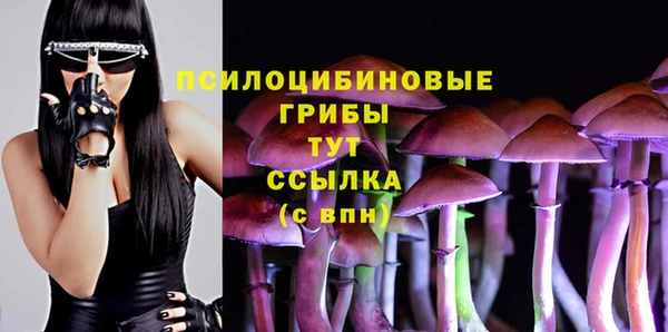 круглые Алексеевка