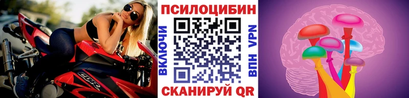 Галлюциногенные грибы Psilocybine cubensis что такое наркотик Касимов