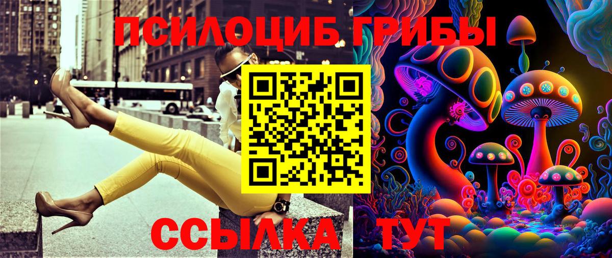 Галлюциногенные грибы MAGIC MUSHROOMS  как найти закладки  Вход с VPN  Касимов  Галлюциногенные грибы прущие грибы 