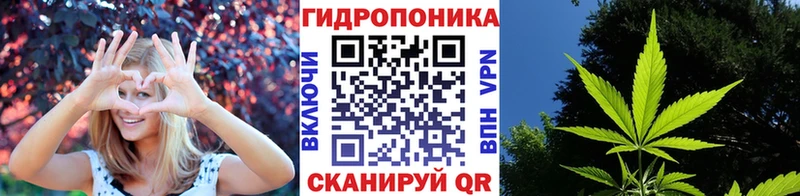 Бошки Шишки VHQ наркота кракен Касимов