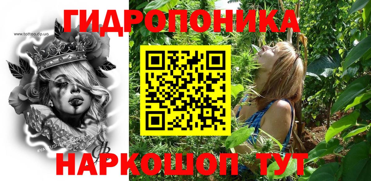 Шишки марихуана VHQ  Бошки марихуана VHQ  Касимов  Бошки Шишки ГИДРОПОН  Вход с VPN  МАРИХУАНА SATIVA & INDICA 